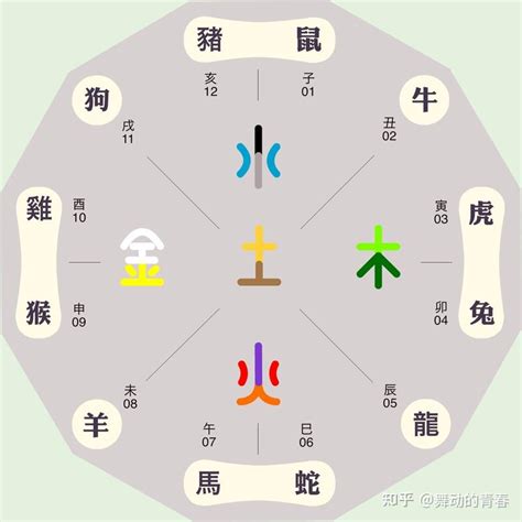 十二生肖 五行|十二生肖对应的五行及属相年份五行对照表